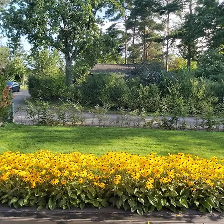 Chalé Little Cocoon Tellin