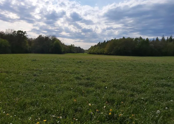 Little Cocoon 木屋 *